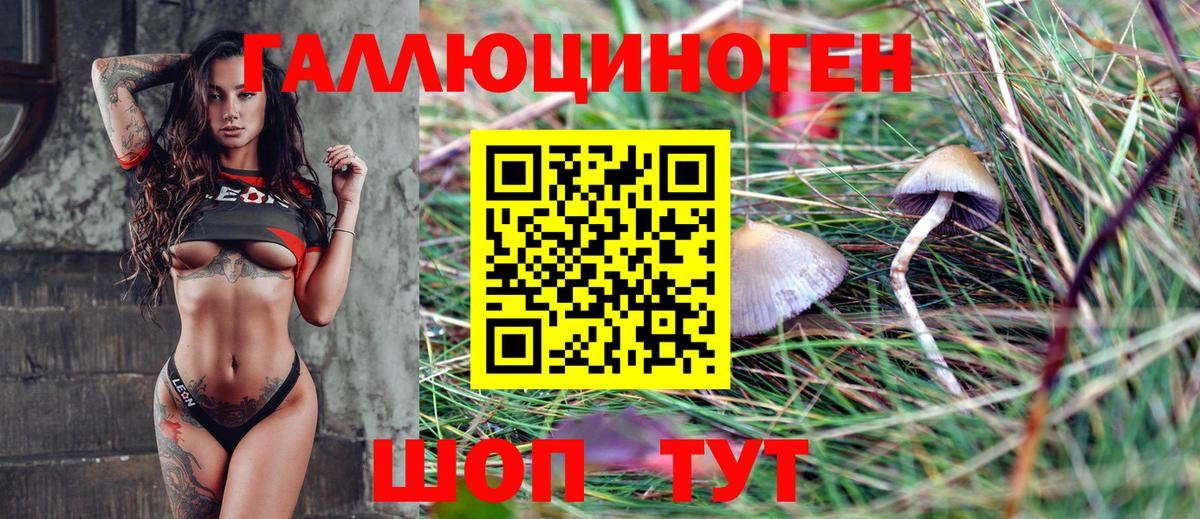 Псилоцибиновые грибы MAGIC MUSHROOMS Санкт-Петербург