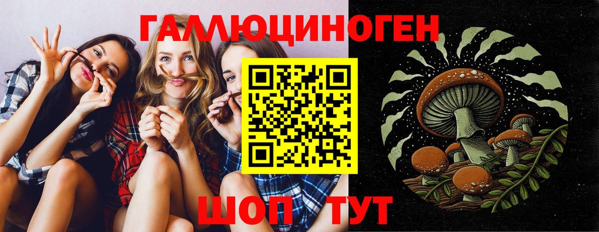 Галлюциногенные грибы Magic Shrooms  Псилоцибиновые грибы прущие грибы  Вход с VPN  Санкт-Петербург 